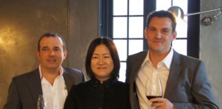 ‘한국 관광시장의 블루오션을 향한 도전’, 안설영, 에이투어스 대표