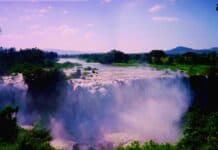 영광의 과거를 간직한 커피의 나라,에티오피아