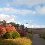 Namsan Mountain: A Journey to Seoul’s Enchanting Heights