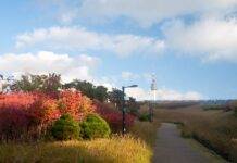 Namsan Mountain: A Journey to Seoul’s Enchanting Heights