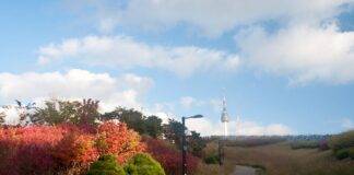 Namsan Mountain: A Journey to Seoul’s Enchanting Heights