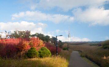 Namsan Mountain: A Journey to Seoul’s Enchanting Heights