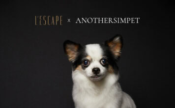 레스케이프, 펫 패키지 ‘메모러블 모먼츠 포 2024 뉴 이어’ 선봬